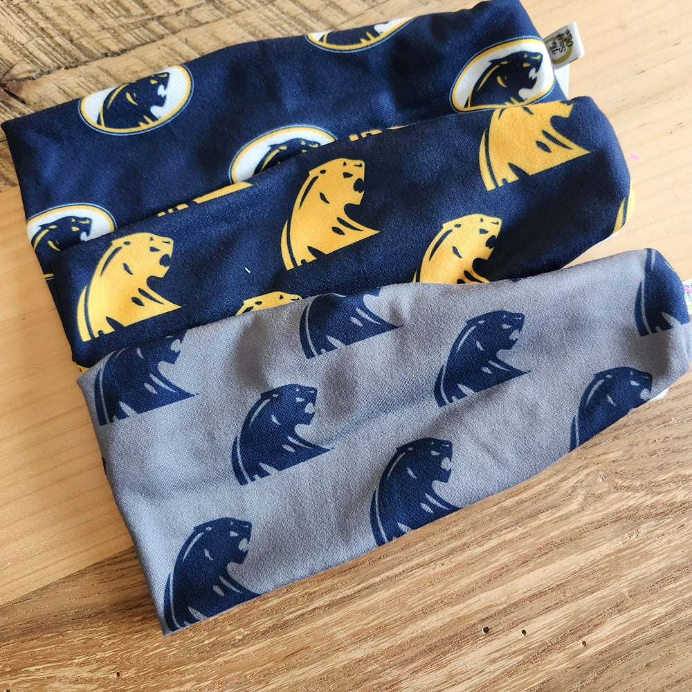 DeWitt Panthers Headbands